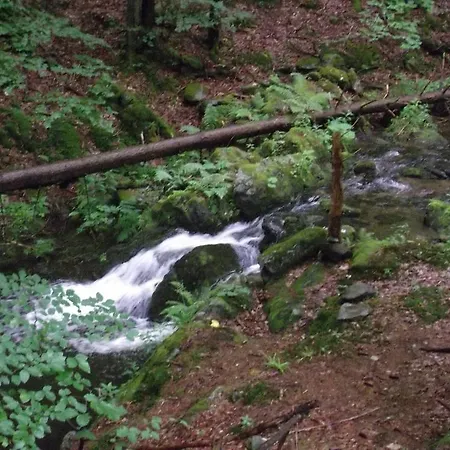 Poustevna *